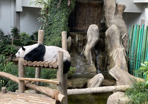 Zoo negara deals ramadan-2025-jomsale