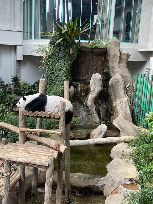 Zoo negara deals ramadan-2025-jomsale